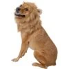 Frisco Lion Mane Dog & Cat Costume 2 Frisco Lion Mane Dog & Cat Costume -Dog Supplies Shop 158732 MAIN. AC SS1800 V1625873829