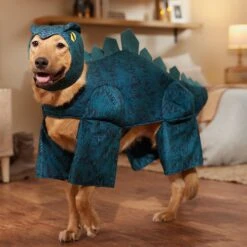 Frisco Stegosaurus Dinosaur Dog & Cat Costume -Dog Supplies Shop 158777 PT7. AC SS1800 V1567180627