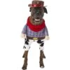 Frisco Front Walking Cowboy Dog & Cat Costume -Dog Supplies Shop 158842 Main. AC SS1800 V1564408627