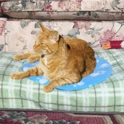 Pet Fit For Life Cooling & Heating Pad -Dog Supplies Shop 159014 PT4. AC SS1800 V1552502516