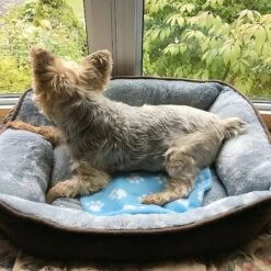 Pet Fit For Life Cooling & Heating Pad -Dog Supplies Shop 159014 PT7. AC SS1800 V1552502520