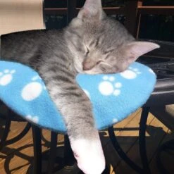 Pet Fit For Life Cooling & Heating Pad -Dog Supplies Shop 159014 PT8. AC SS1800 V1552502521