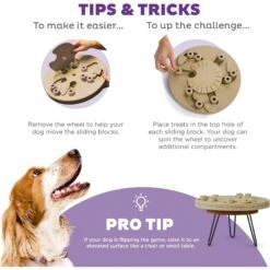 Nina Ottosson By Outward Hound Hide N' Slide Puzzle Game Dog Toy -Dog Supplies Shop 159428 PT3. AC SS1800 V1694287373