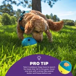 Nina Ottosson By Outward Hound Treat Tumble Puzzle Game Dog Toy 14 Nina Ottosson By Outward Hound Treat Tumble Puzzle Game Dog Toy -Dog Supplies Shop 159436 PT3. AC SS1800 V1694287367