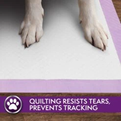 Simple Solution 6-Layer All Day Premium Dog Pads -Dog Supplies Shop 159774 PT5. AC SS1800 V1703797807