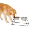 Frisco Pyramid Elevated Stainless Steel Double Diner Dog & Cat Bowl 1 Frisco Pyramid Elevated Stainless Steel Double Diner Dog & Cat Bowl -Dog Supplies Shop 159884 MAIN. AC SS1800 V1583424776