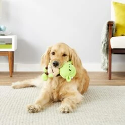 Fetch For Pets Star Wars Yoda Squeaky Plush Dog Toy 7 Fetch For Pets Star Wars Yoda Squeaky Plush Dog Toy -Dog Supplies Shop 160825 PT1. AC SS1800 V1558558142