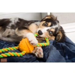 Hartz Dura Play Tug Of Fun Double Ring Squeaky Latex Dog Toy 11 Hartz Dura Play Tug Of Fun Double Ring Squeaky Latex Dog Toy -Dog Supplies Shop 161037 PT3. AC SS1800 V1589231350