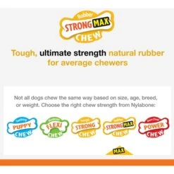 Nylabone Strong Chew Cone Stuffable Dog Toy Rubber Stuffable Cone Bacon Cone -Dog Supplies Shop 161316 PT3. AC SS1800 V1698869188