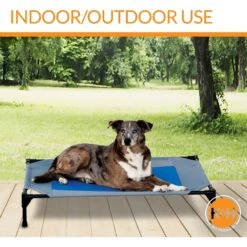 K&H Pet Products Coolin' Pet Cot Elevated Pet Bed -Dog Supplies Shop 164028 PT4. AC SS1800 V1620847118