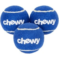 Frisco Chewy Fetch Squeaky Tennis Ball Dog Toy