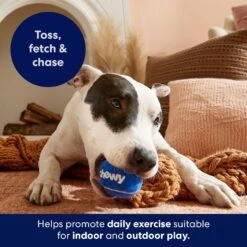 Frisco Chewy Fetch Squeaky Tennis Ball Dog Toy 12 Frisco Chewy Fetch Squeaky Tennis Ball Dog Toy -Dog Supplies Shop 164314 PT5. AC SS1800 V1691783910