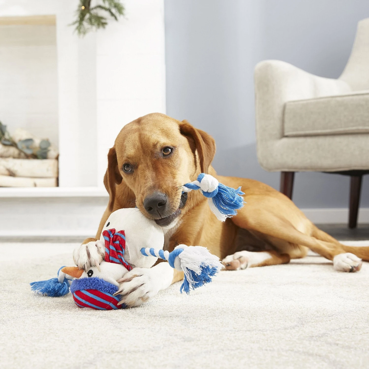 Frisco Holiday Snowman Plush With Rope Squeaky Dog Toy 5 Frisco Holiday Snowman Plush With Rope Squeaky Dog Toy - Image 3