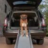 PetSafe Happy Ride Deluxe Compact Telescoping Dog Car Ramp -Dog Supplies Shop 166219 MAIN. AC SS1800 V1619958802