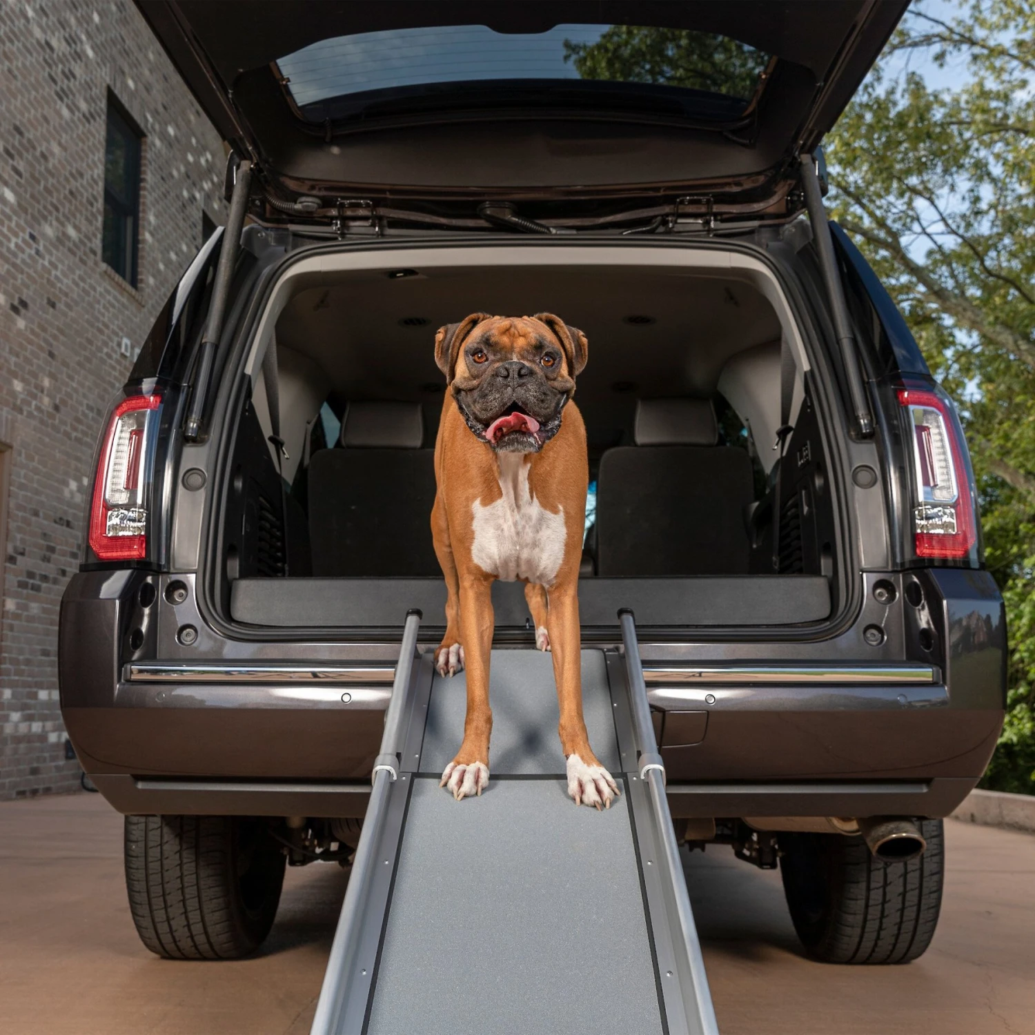 PetSafe Happy Ride Deluxe Compact Telescoping Dog Car Ramp 3 PetSafe Happy Ride Deluxe Compact Telescoping Dog Car Ramp