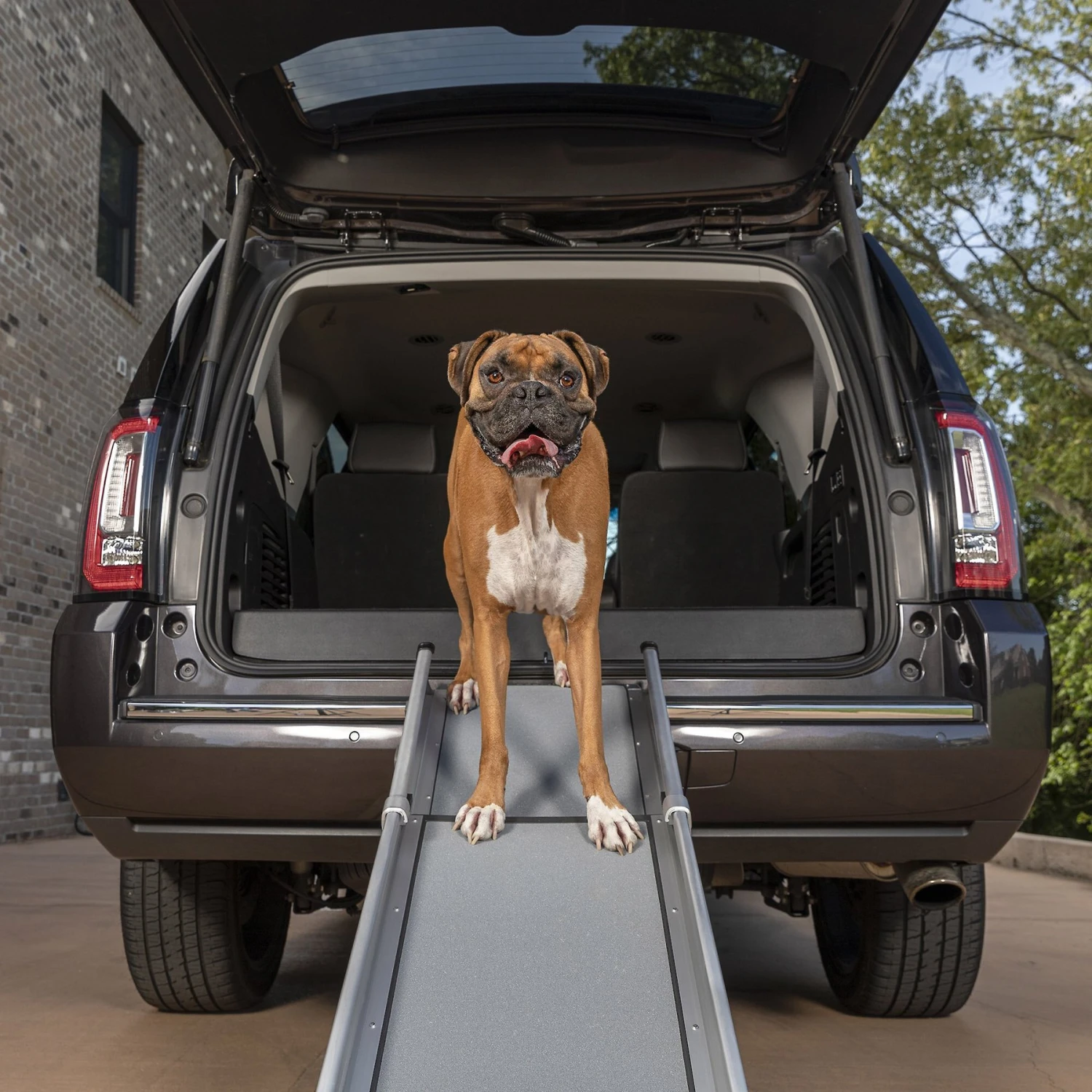 PetSafe Happy Ride Deluxe Compact Telescoping Dog Car Ramp 10 PetSafe Happy Ride Deluxe Compact Telescoping Dog Car Ramp - Image 8
