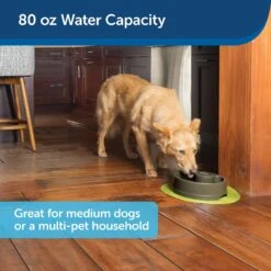 PetSafe Current Circulating Pet Fountain -Dog Supplies Shop 166258 PT6. AC SS1800 V1598894175