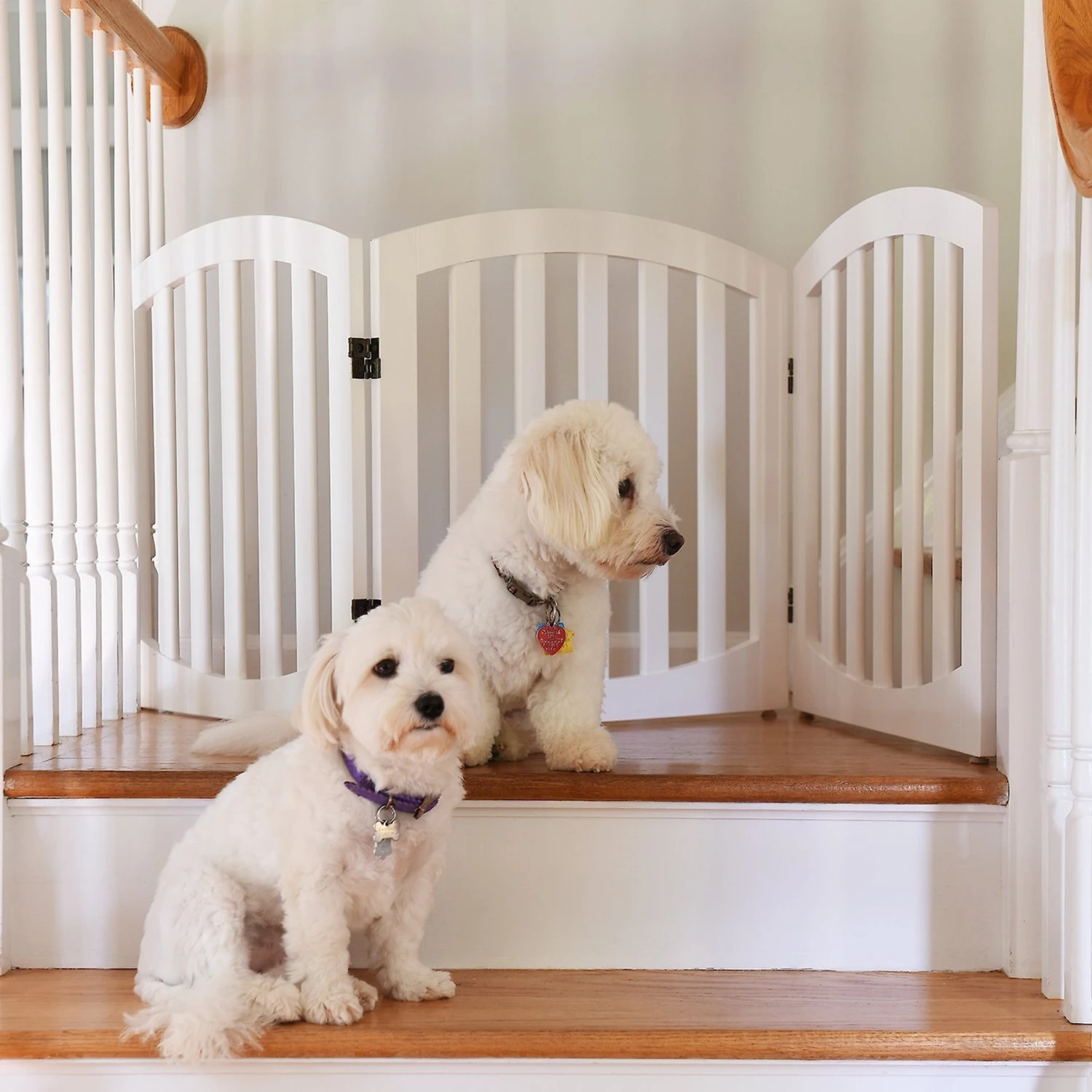 Arf Pets Free-Standing Wood Dog & Cat Gate 3 Arf Pets Free-Standing Wood Dog & Cat Gate