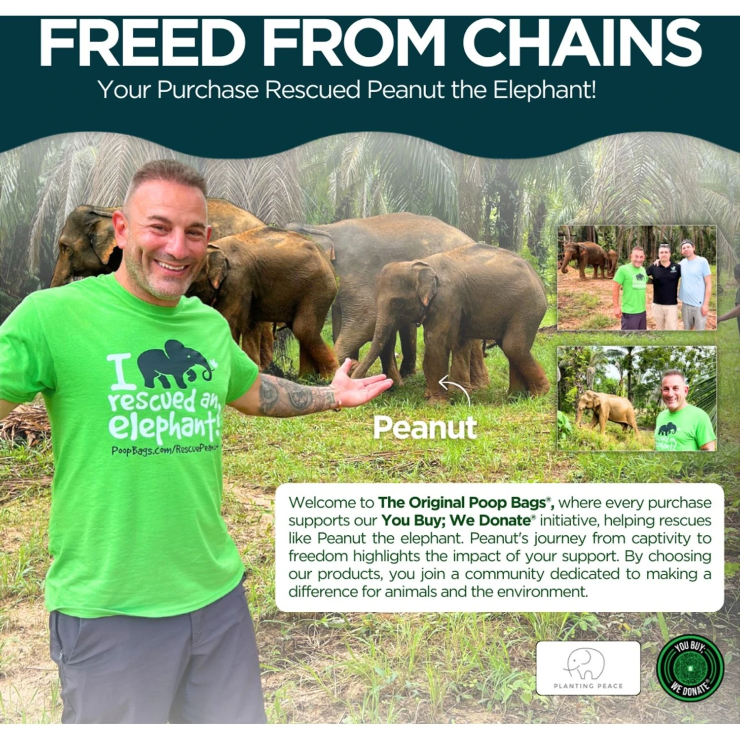 The Original Poop Bags Compostable Rolls 7 The Original Poop Bags Compostable Rolls - Image 5