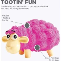 Outward Hound Tootiez Squeaky Stuffing-Free Dog Toy -Dog Supplies Shop 173725 PT2. AC SS1800 V1636500745