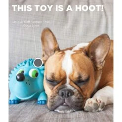 Outward Hound Tootiez Squeaky Stuffing-Free Dog Toy -Dog Supplies Shop 173725 PT3. AC SS1800 V1636505522