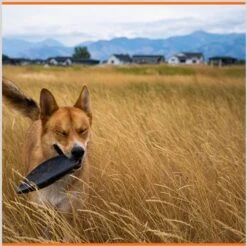 Monster K9 Dog Toys Indestructible Flying Disc Dog Toy -Dog Supplies Shop 173928 PT5. AC SS1800 V1672947912