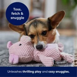 Frisco Pig Textured Plush Squeaky Dog Toy -Dog Supplies Shop 174695 PT4. AC SS1800 V1695670689