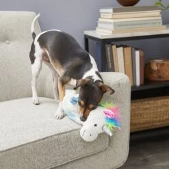 Frisco Unicorn Textured Plush Squeaky Dog Toy -Dog Supplies Shop 174699 PT2. AC SS1800 V1573492386