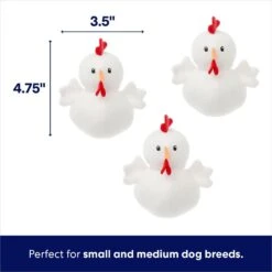 Frisco Chicken Coop Hide & Seek Puzzle Plush Squeaky Dog Toy -Dog Supplies Shop 174755 PT2. AC SS1800 V1691783968