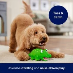 Frisco Alligator Latex Squeaky Dog Toy 10 Frisco Alligator Latex Squeaky Dog Toy -Dog Supplies Shop 174772 PT3. AC SS1800 V1686579212