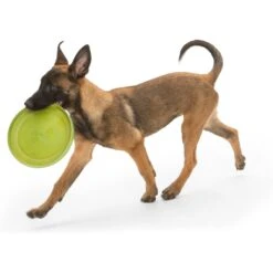 West Paw Zogoflex Glow Zisc Flying Disc Dog Toy -Dog Supplies Shop 176440 PT2. AC SS1800 V1629325654