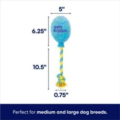 Frisco Birthday Balloon Plush With Rope Squeaky Dog Toy -Dog Supplies Shop 177807 PT1. AC SS1800 V1695748354