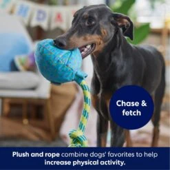 Frisco Birthday Balloon Plush With Rope Squeaky Dog Toy -Dog Supplies Shop 177807 PT3. AC SS1800 V1695241973