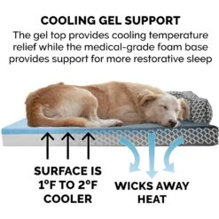 FurHaven Comfy Couch Cooling Gel Cat & Dog Bed With Removable Cover -Dog Supplies Shop 178854 PT6. AC SS1800 V1613087812