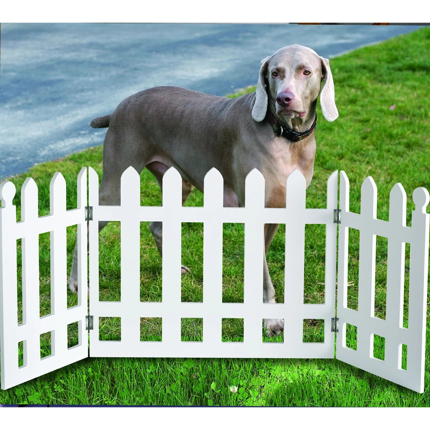 Etna Picket Fence Adjustable Pet Gate, White 4 Etna Picket Fence Adjustable Pet Gate, White - Image 2