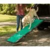Pet Gear Tri-Fold Dog Car Ramp With Supertrax -Dog Supplies Shop 185875 Main. AC SS1800 V1565018248