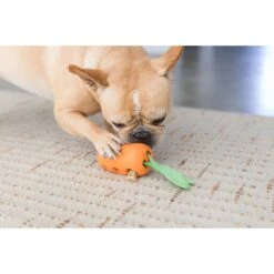 Petstages Carrot Stuffer Treat Dispenser Dog Toy -Dog Supplies Shop 190710 PT5. AC SS1800 V1631684228