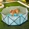 Regalo Pet Products My Play Portable Soft-sided Dog & Cat Playpen -Dog Supplies Shop 192142 MAIN. AC SS1800 V1582318497