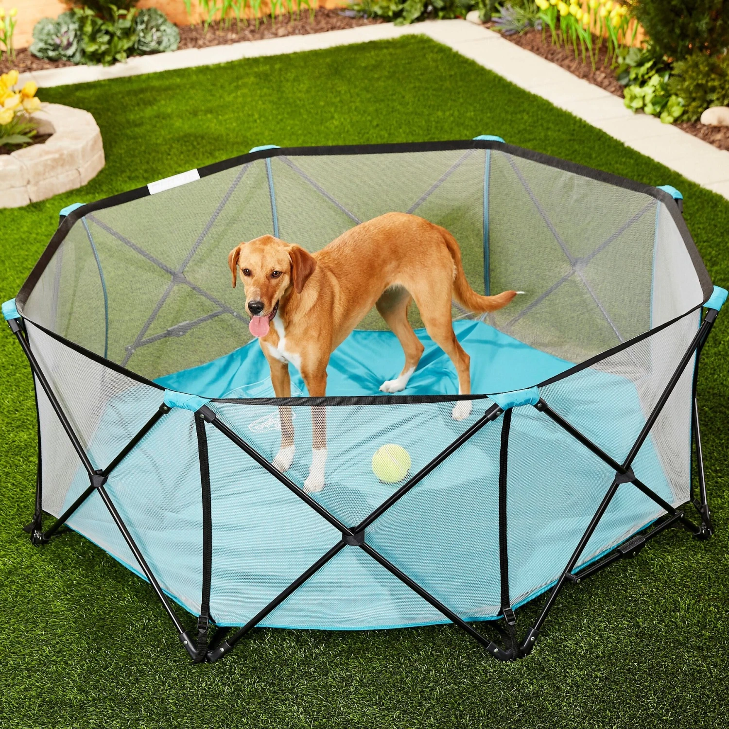 Regalo Pet Products My Play Portable Soft-sided Dog & Cat Playpen 3 Regalo Pet Products My Play Portable Soft-sided Dog & Cat Playpen