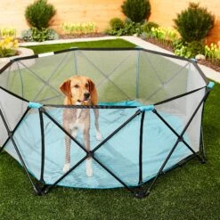 Regalo Pet Products My Play Portable Soft-sided Dog & Cat Playpen 11 Regalo Pet Products My Play Portable Soft-sided Dog & Cat Playpen -Dog Supplies Shop 192142 PT4. AC SS1800 V1582320084