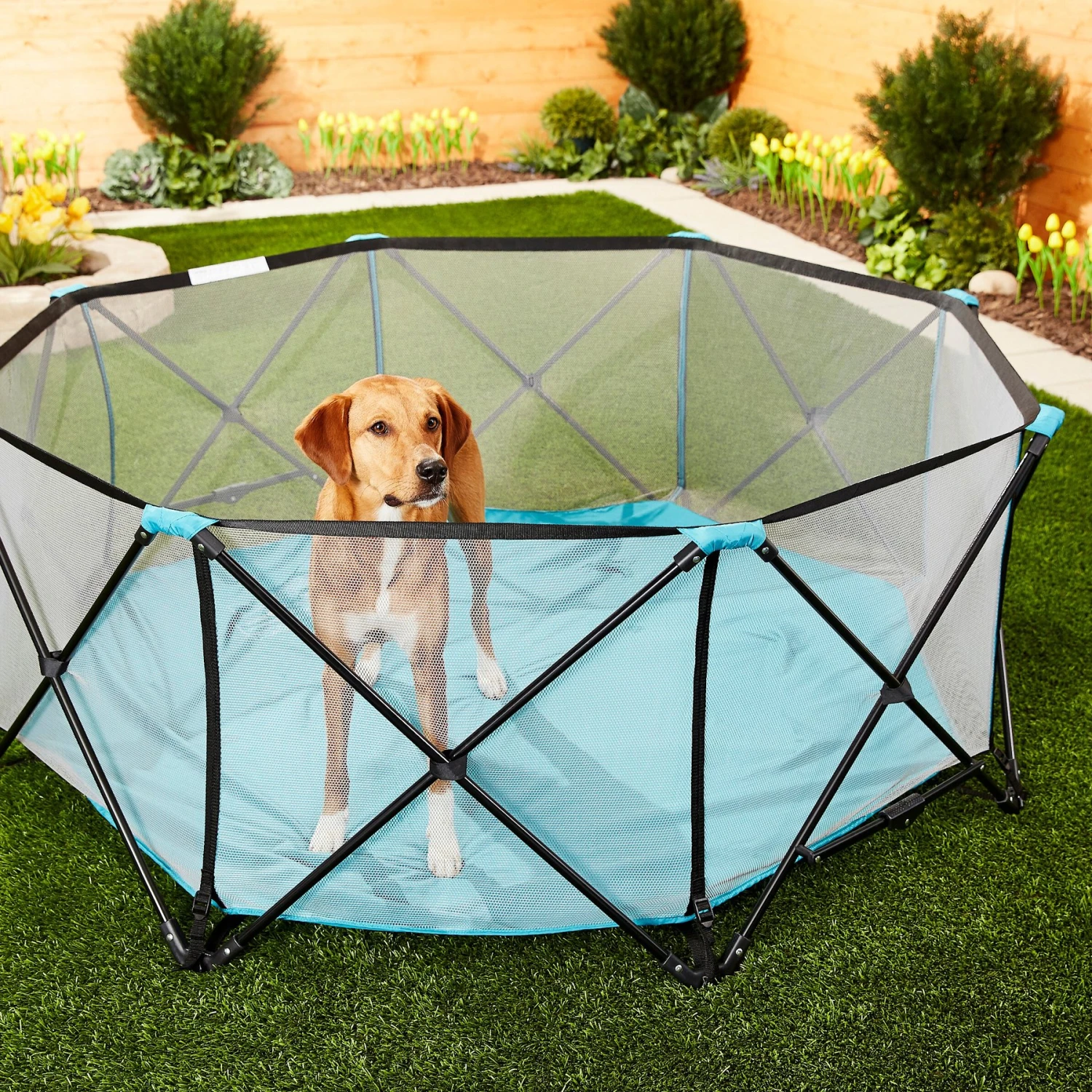 Regalo Pet Products My Play Portable Soft-sided Dog & Cat Playpen 7 Regalo Pet Products My Play Portable Soft-sided Dog & Cat Playpen - Image 5