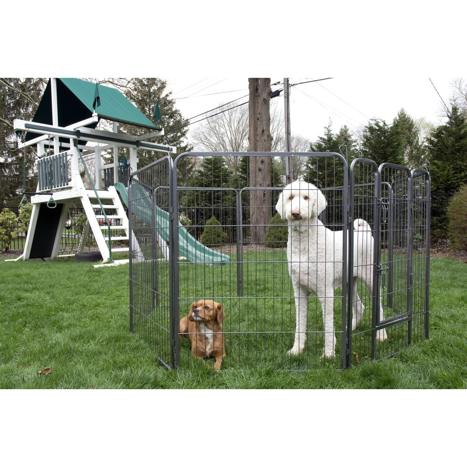 Iconic Pet Heavy Duty Wire Dog Playpen 4 Iconic Pet Heavy Duty Wire Dog Playpen - Image 2