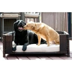 Iconic Pet Rattan Rectangular Sofa Cat & Dog Bed With Removable Cover, Espresso 9 Iconic Pet Rattan Rectangular Sofa Cat & Dog Bed With Removable Cover, Espresso -Dog Supplies Shop 192464 PT2. AC SS1800 V1568755967