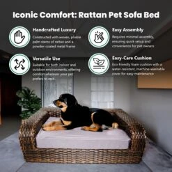 Iconic Pet Rattan Sofa Cat & Dog Bed With Removable Cover, Caramel & Mocha 11 Iconic Pet Rattan Sofa Cat & Dog Bed With Removable Cover, Caramel & Mocha -Dog Supplies Shop 192466 PT4. AC SS1800 V1568755958