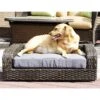 Iconic Pet Rattan Sofa Cat & Dog Bed With Removable Cover, Caramel & Mocha -Dog Supplies Shop 192466 main. AC SS1800 V1581434935