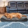 FurHaven Minky Plush Luxe Lounger Cooling Gel Dog Bed With Removable Cover -Dog Supplies Shop 198983 MAIN. AC SS1800 V1627608725