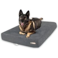 Big Barker 7" Sleek Orthopedic Pillow Dog Bed With Removable Cover