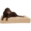 Pet Support Systems Lucky Dog Orthopedic Pillow Dog Bed -Dog Supplies Shop 210210 MAIN. AC SS1800 V1577387908