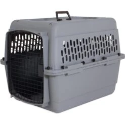 Aspen Pet Traditional Dog & Cat Carrier, Light Gray