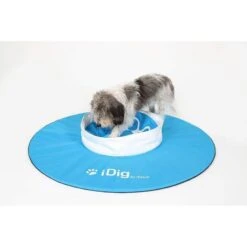 IFetch IDig Go Dog Toy, Blue -Dog Supplies Shop 213248 PT1. AC SS1800 V1575486216